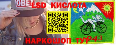 ГАЛЛЮЦИНОГЕННЫЕ ГРИБЫ Кулебаки
