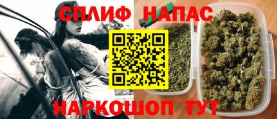 СК Краснодар